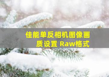 佳能单反相机图像画质设置 Raw格式